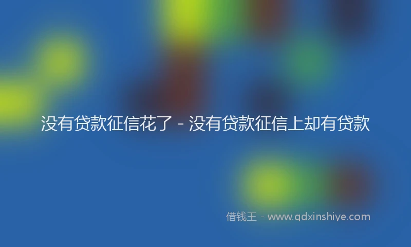 没有贷款征信花了 - 没有贷款征信上却有贷款