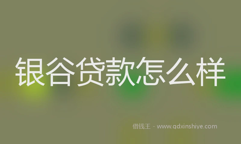 银谷贷款怎么样