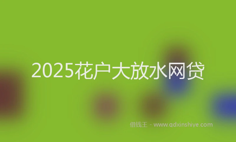 2025花户大放水网贷