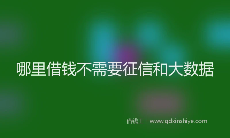 哪里借钱不需要征信和大数据