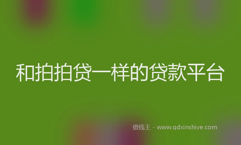 和拍拍贷一样的贷款平台