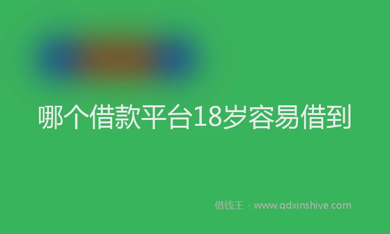 哪个借款平台18岁容易借到