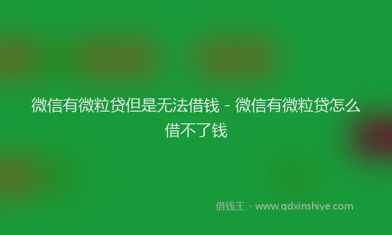 微信有微粒贷但是无法借钱 - 微信有微粒贷怎么借不了钱
