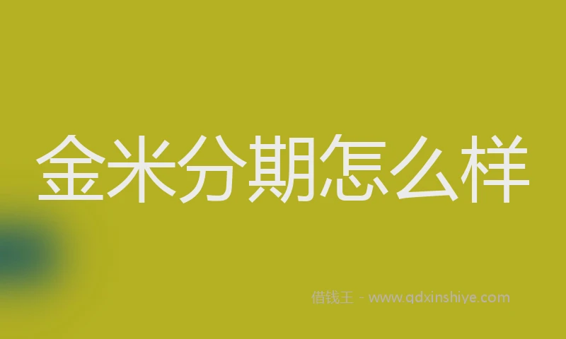 金米分期怎么样