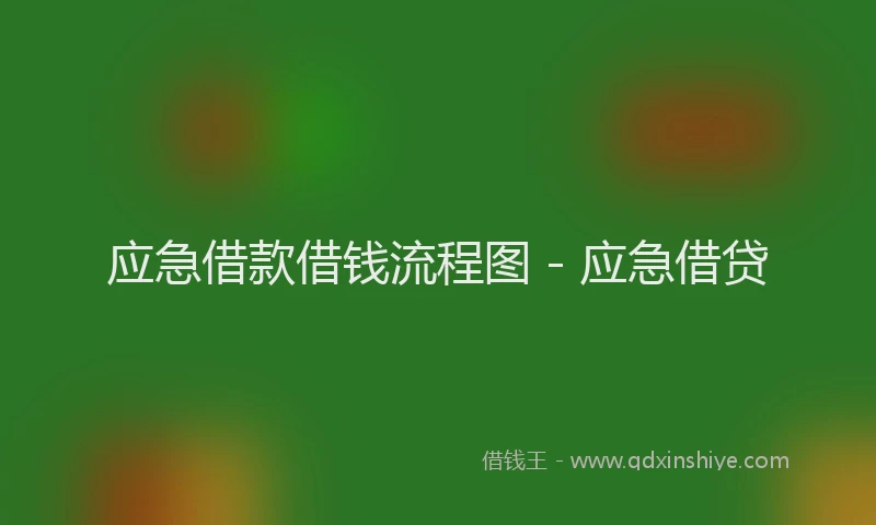 应急借款借钱流程图 - 应急借贷