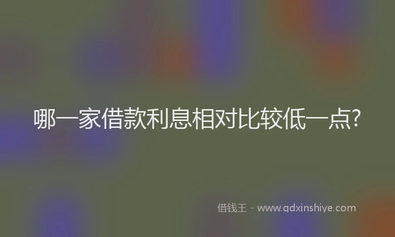 哪一家借款利息相对比较低一点?