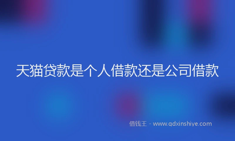 天猫贷款是个人借款还是公司借款