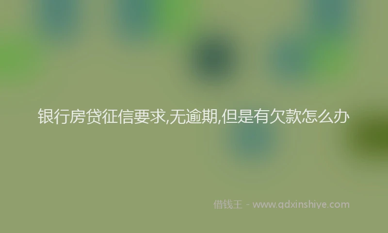 银行房贷征信要求,无逾期,但是有欠款怎么办