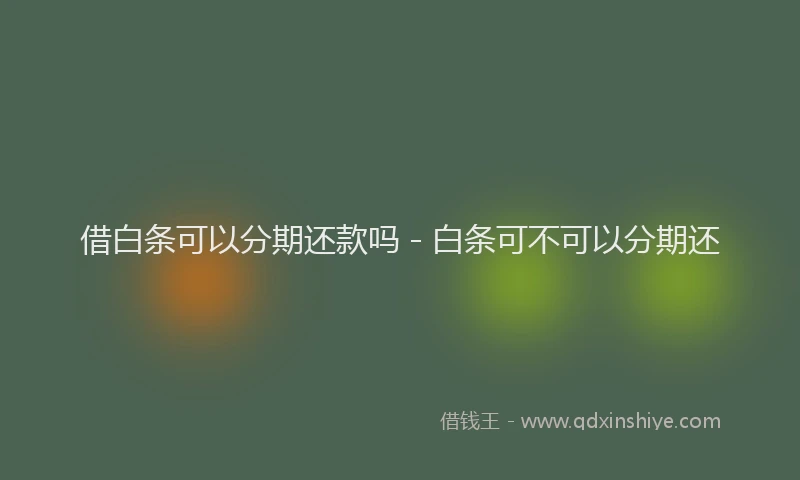 借白条可以分期还款吗 - 白条可不可以分期还
