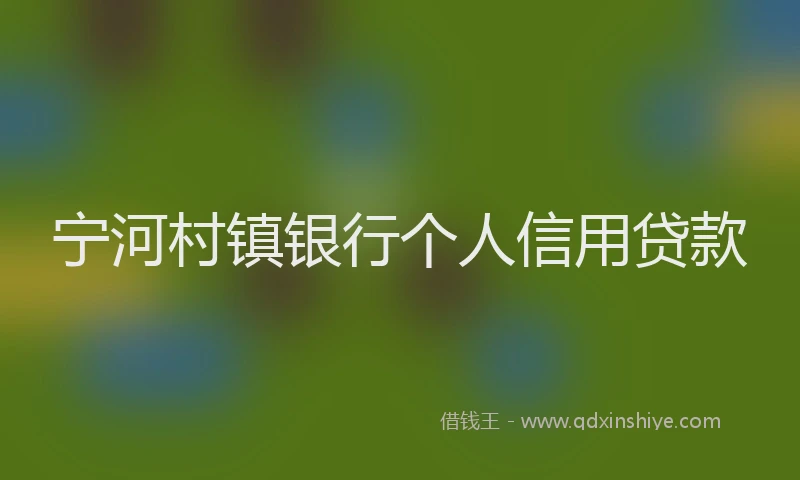 宁河村镇银行个人信用贷款