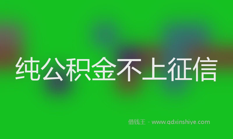 纯公积金不上征信