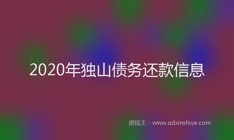 2020年独山债务还款信息