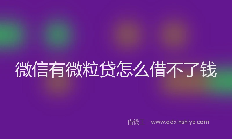 微信有微粒贷怎么借不了钱