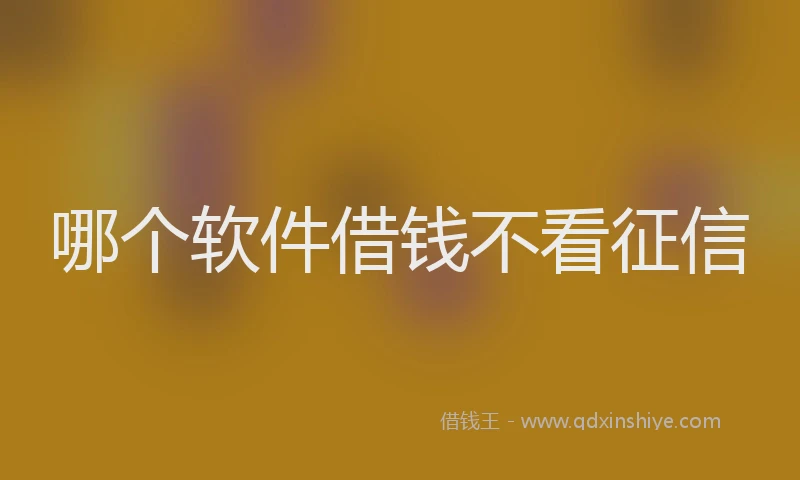 哪个软件借钱不看征信