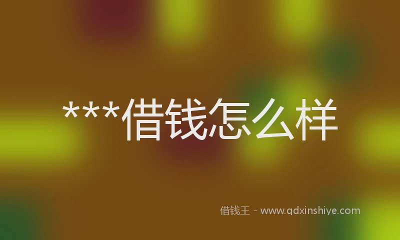 ***借钱怎么样