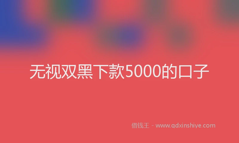 无视双黑下款5000的口子