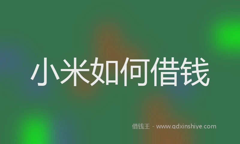 小米如何借钱