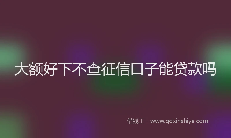 大额好下不查征信口子能贷款吗