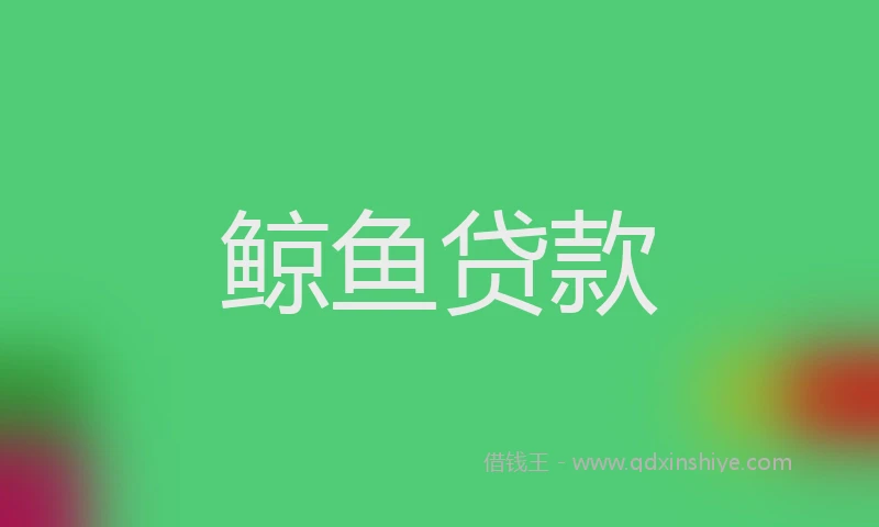 鲸鱼贷款