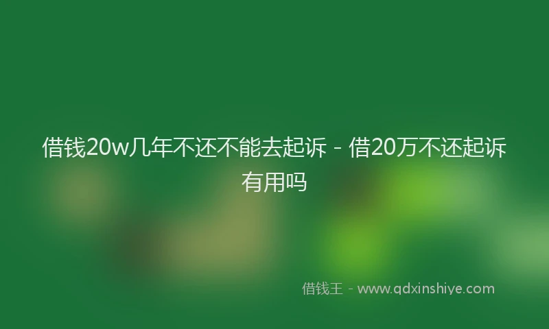 借钱20w几年不还不能去起诉 - 借20万不还起诉有用吗