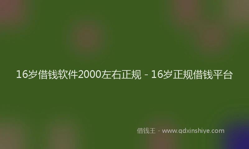 16岁借钱软件2000左右正规 - 16岁正规借钱平台