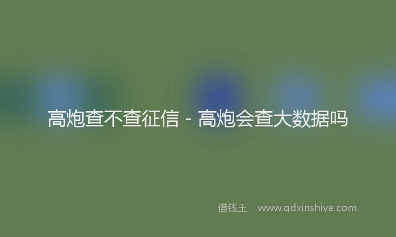高炮查不查征信 - 高炮会查大数据吗