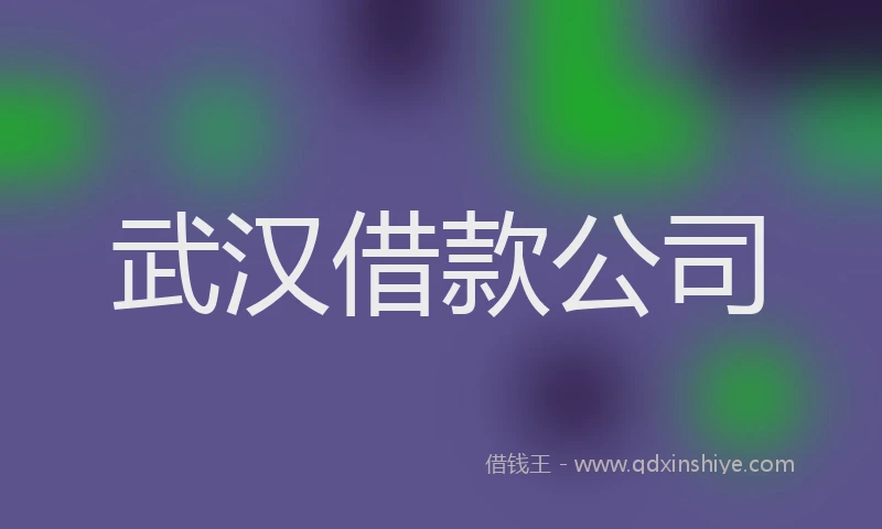 武汉借款公司