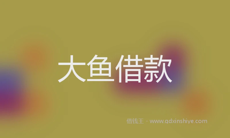 大鱼借款