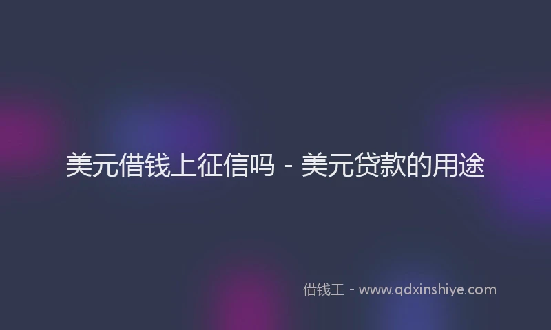 美元借钱上征信吗 - 美元贷款的用途