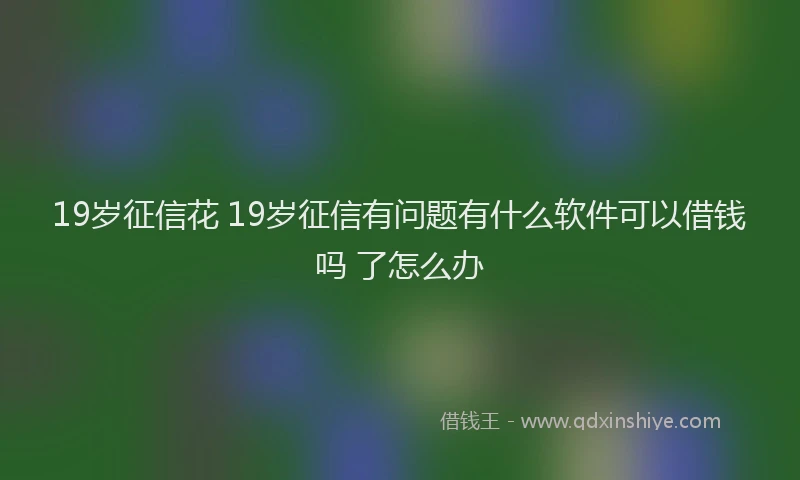 19岁征信花 19岁征信有问题有什么软件可以借钱吗 了怎么办