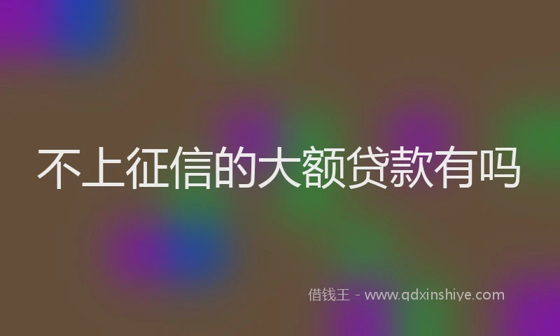 不上征信的大额贷款有吗