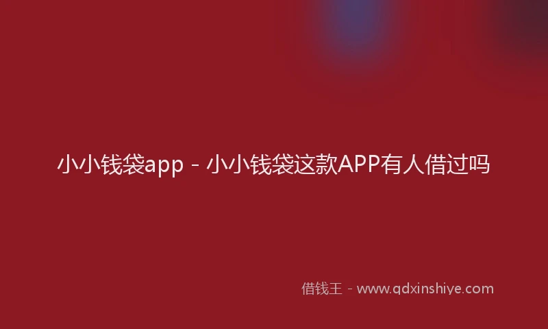 小小钱袋app - 小小钱袋这款APP有人借过吗
