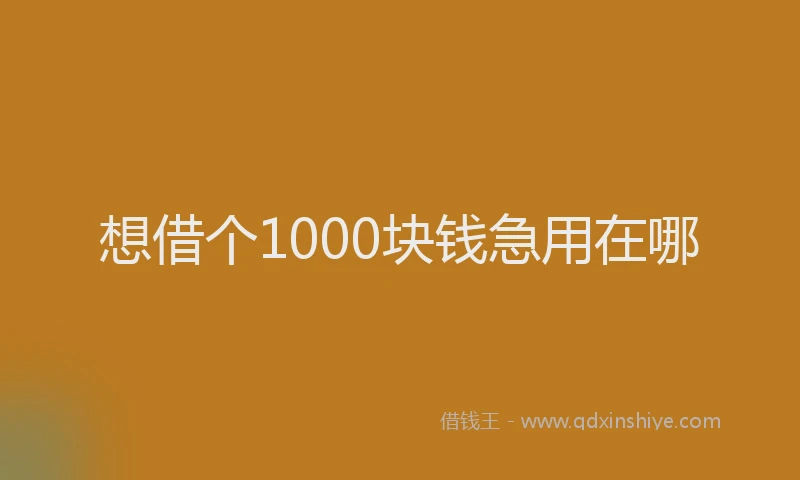 想借个1000块钱急用在哪