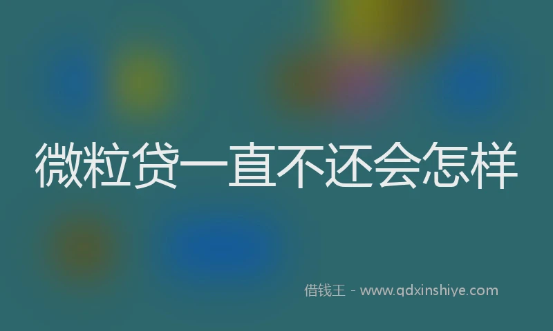 微粒贷一直不还会怎样