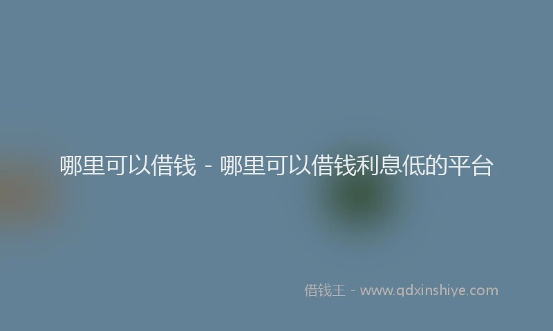哪里可以借钱 - 哪里可以借钱利息低的平台