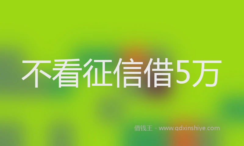 不看征信借5万