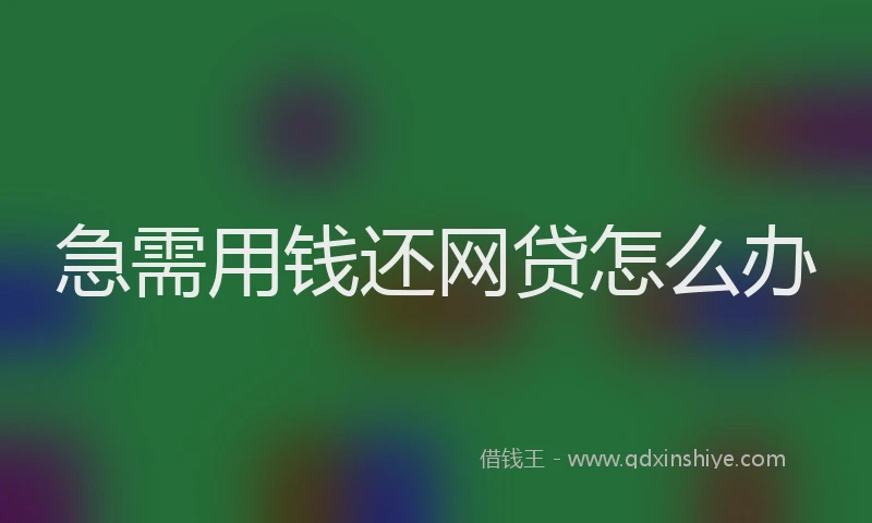 急需用钱还网贷怎么办