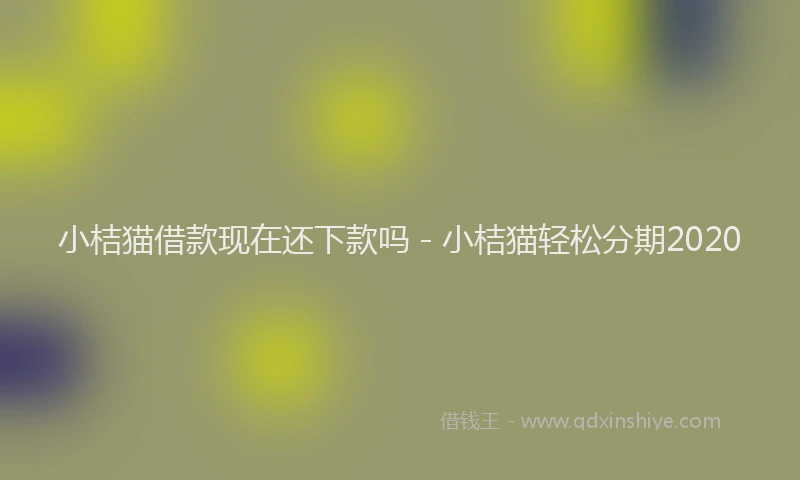 小桔猫借款现在还下款吗 - 小桔猫轻松分期2020