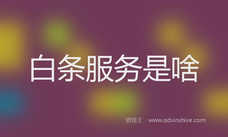 白条服务是啥