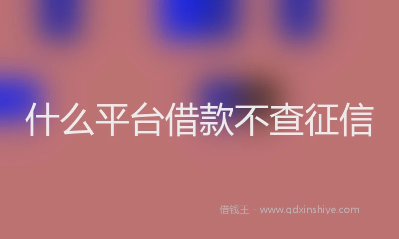 什么平台借款不查征信