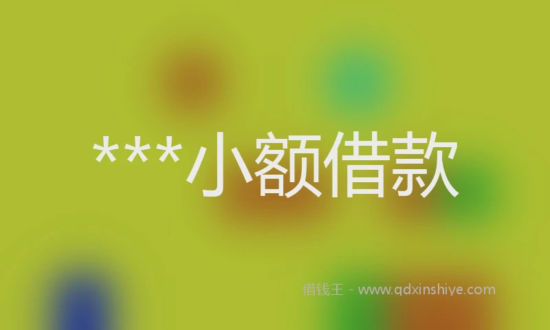 ***小额借款