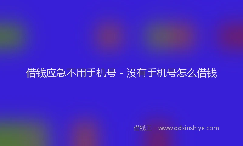 借钱应急不用手机号 - 没有手机号怎么借钱