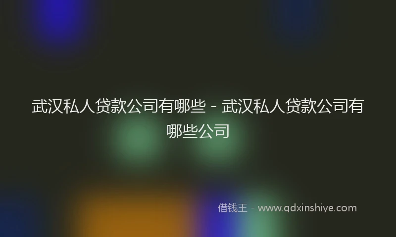 武汉私人贷款公司有哪些 - 武汉私人贷款公司有哪些公司