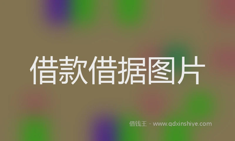 借款借据图片