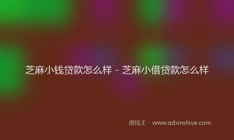 芝麻小钱贷款怎么样 - 芝麻小借贷款怎么样