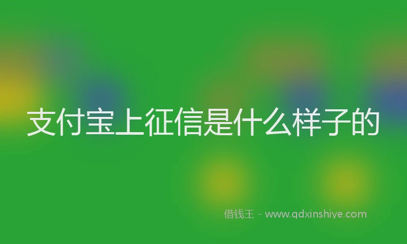 支付宝上征信是什么样子的