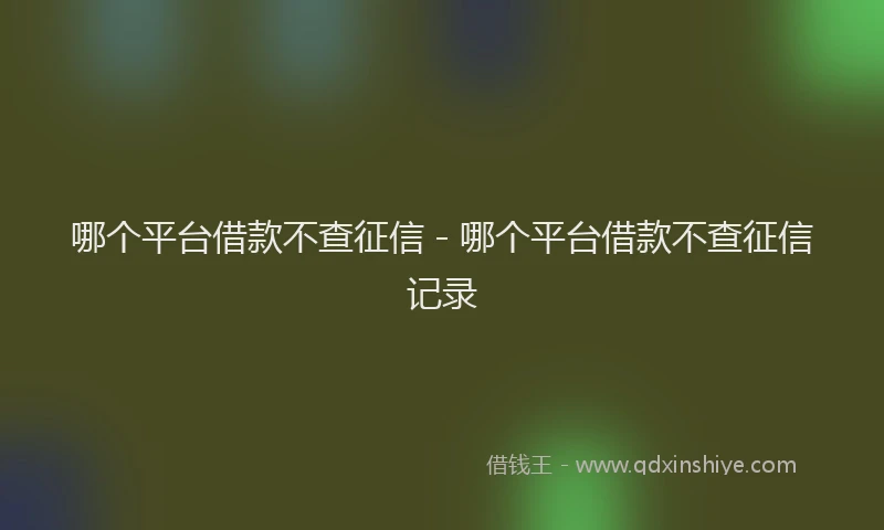 哪个平台借款不查征信 - 哪个平台借款不查征信记录