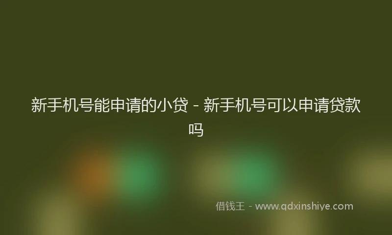 新手机号能申请的小贷 - 新手机号可以申请贷款吗