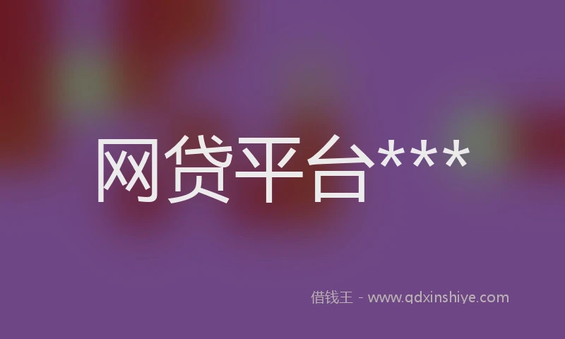 网贷平台***