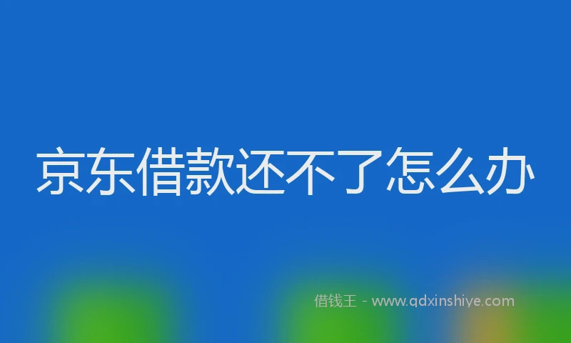 京东借款还不了怎么办